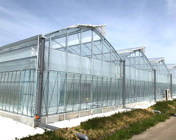 ビニールハウス