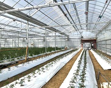 センサーを農業の皆様へ