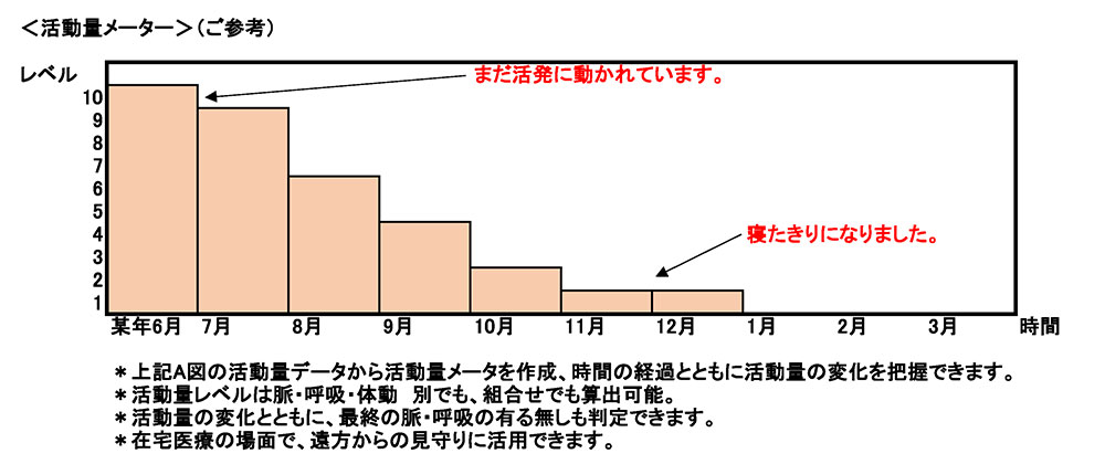 脈・呼吸・体動の活動量