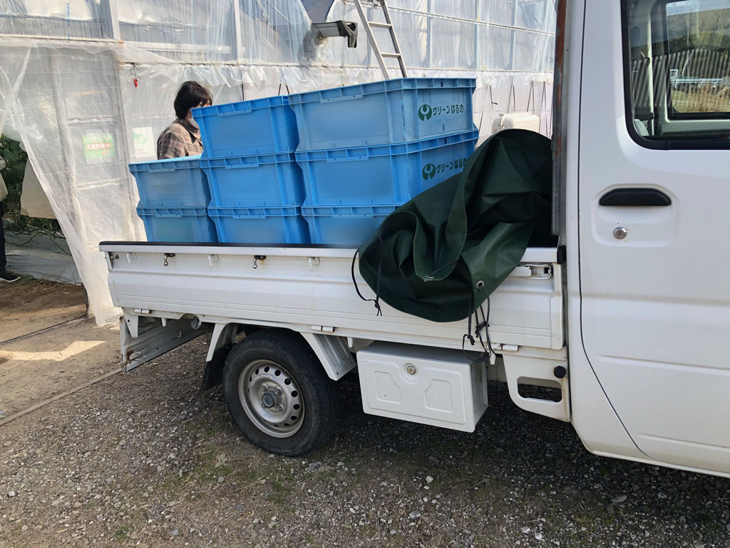 IoPクラウド導入の高知の農家