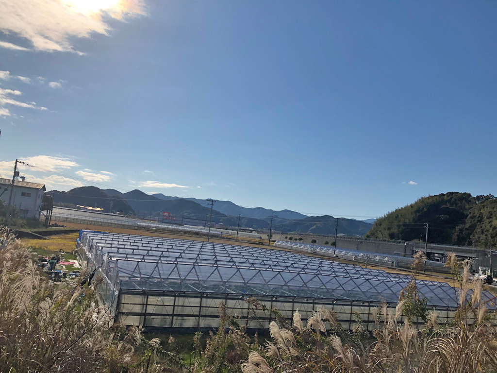 見渡す限りビニールハウス